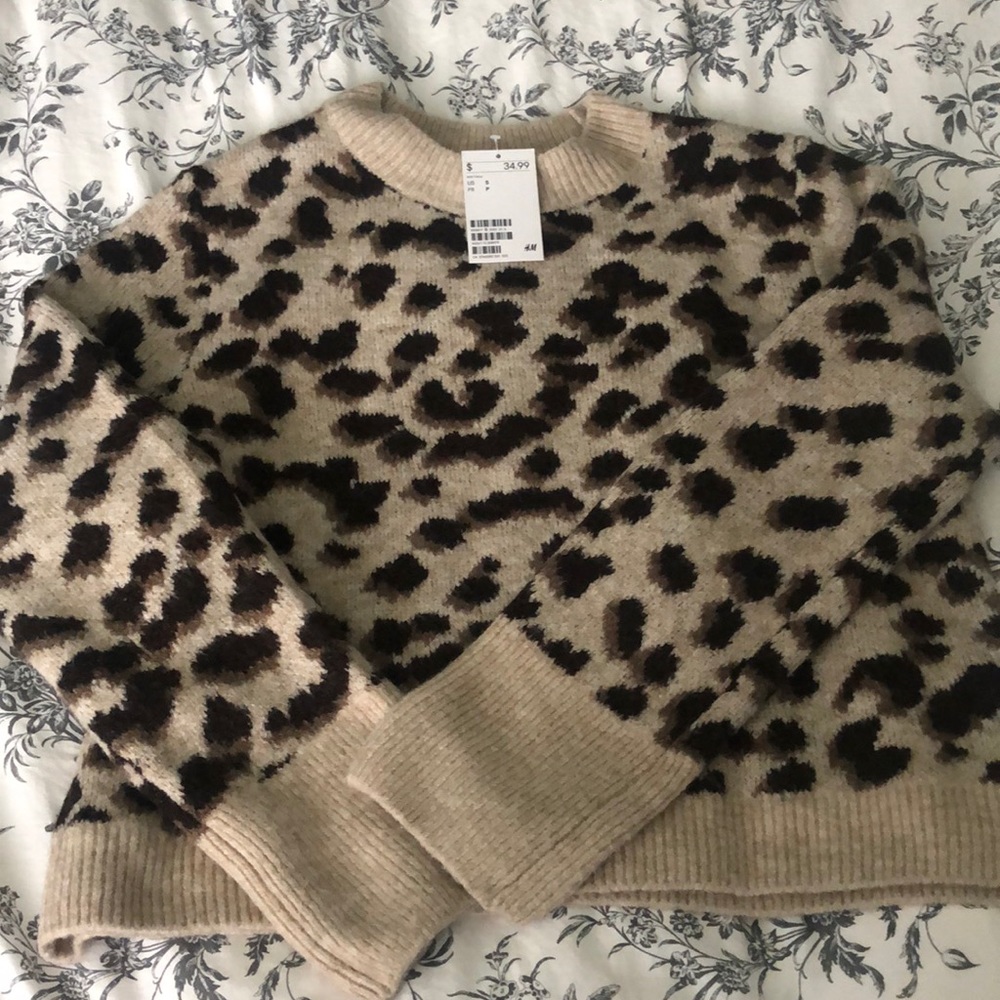 H&M leopard print sweater